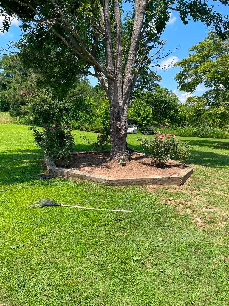 Weed eating around a residential lawn edge